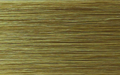 Pro Luxe Hair shade 18/25