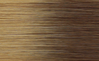 Pro Luxe Hair shade 27/613