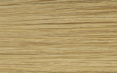 Pro Luxe Hair shade 613