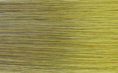 Pro Luxe Hair shade 613/18R