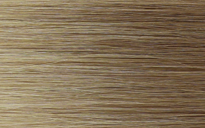 Pro Luxe Hair shade 6/22